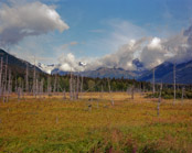 Alaskan Topographics
